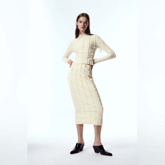 NWT ZARA SEAMED RIB High Rise Midi Skirt‎ with Elastic Waistband 6050/813 Size S - Picture 10 of 16
